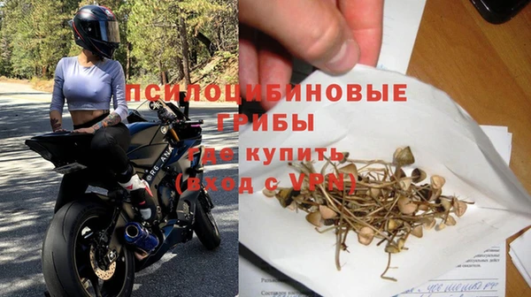 PSILOCYBIN Богородск