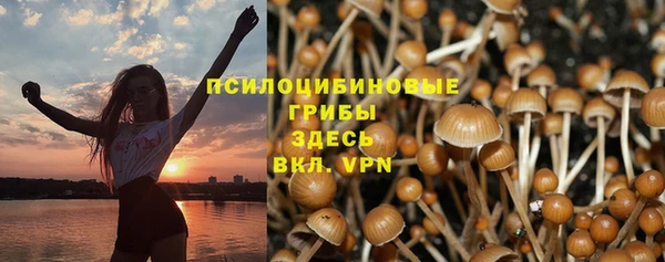 PSILOCYBIN Богородск